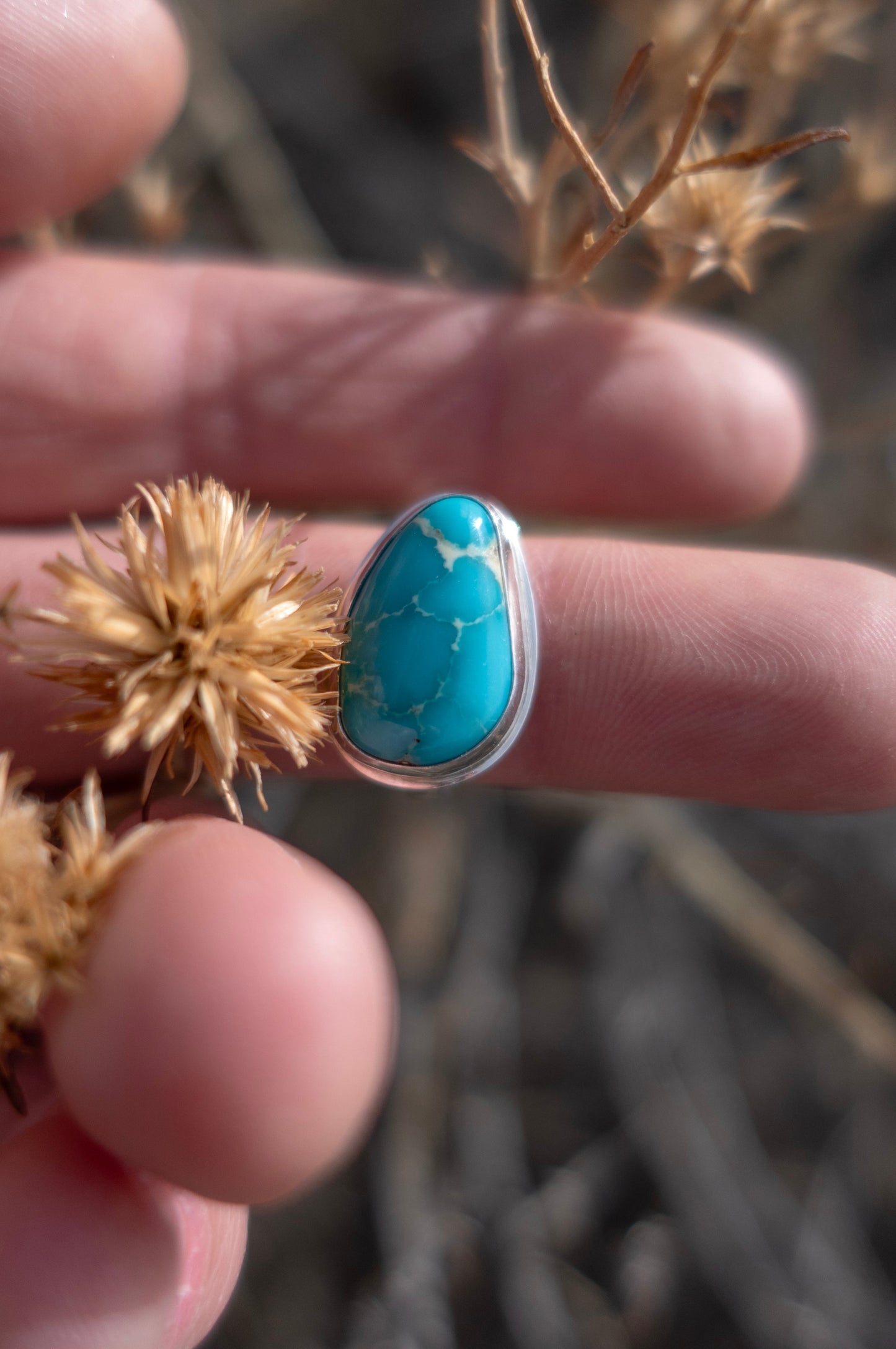 A glossy blue Kingman Turquoise stone set in a sterling silver ring, held between fingers with a dry plant in the background.