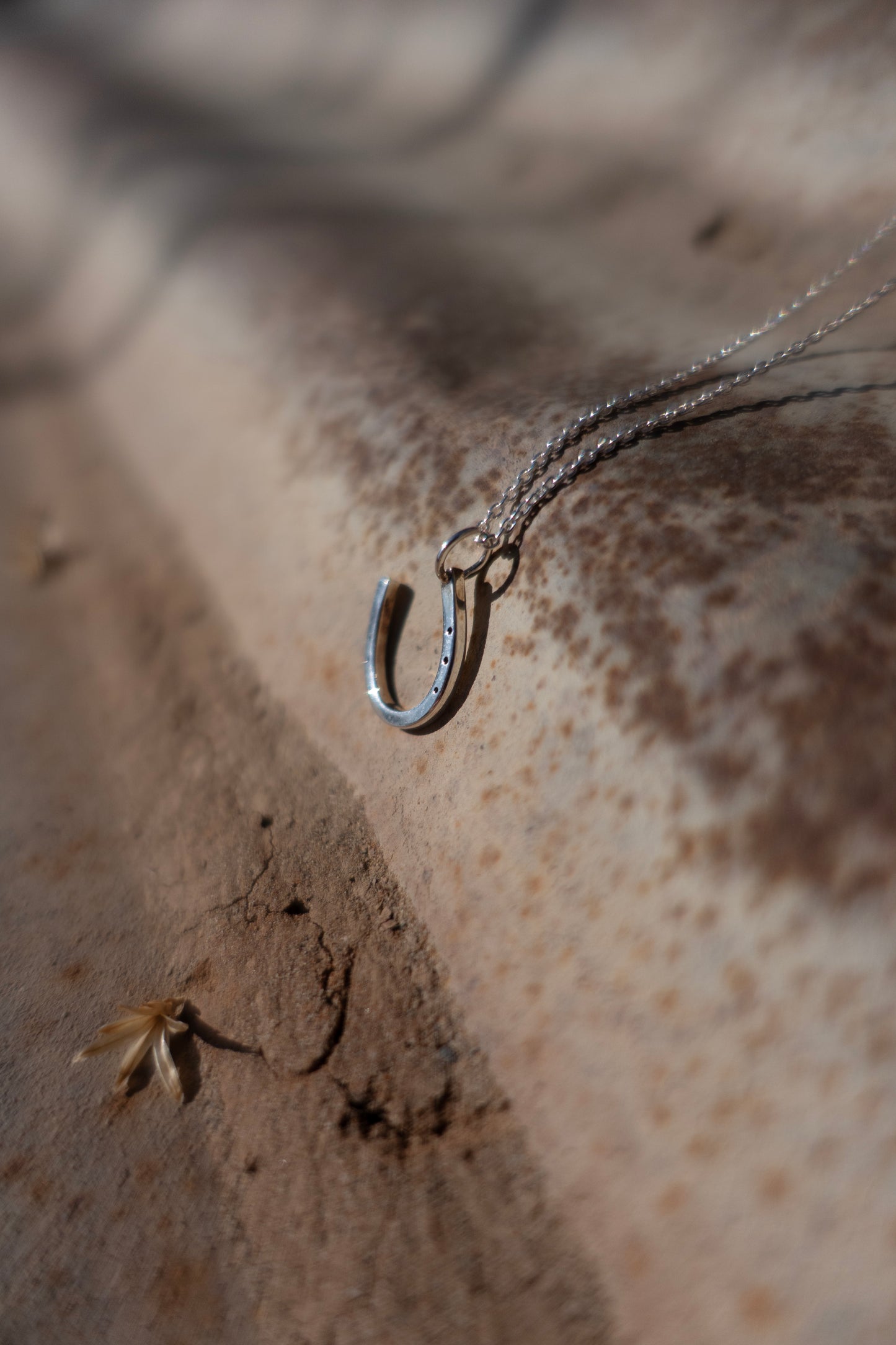 Sterling Silver "Lucky Horseshoe" Charm Necklace