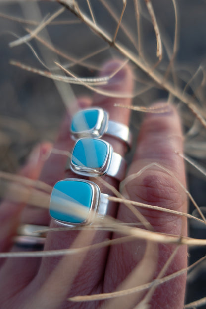 Sleeping Beauty Turquoise Rings