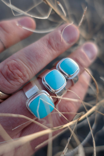 Sleeping Beauty Turquoise Rings
