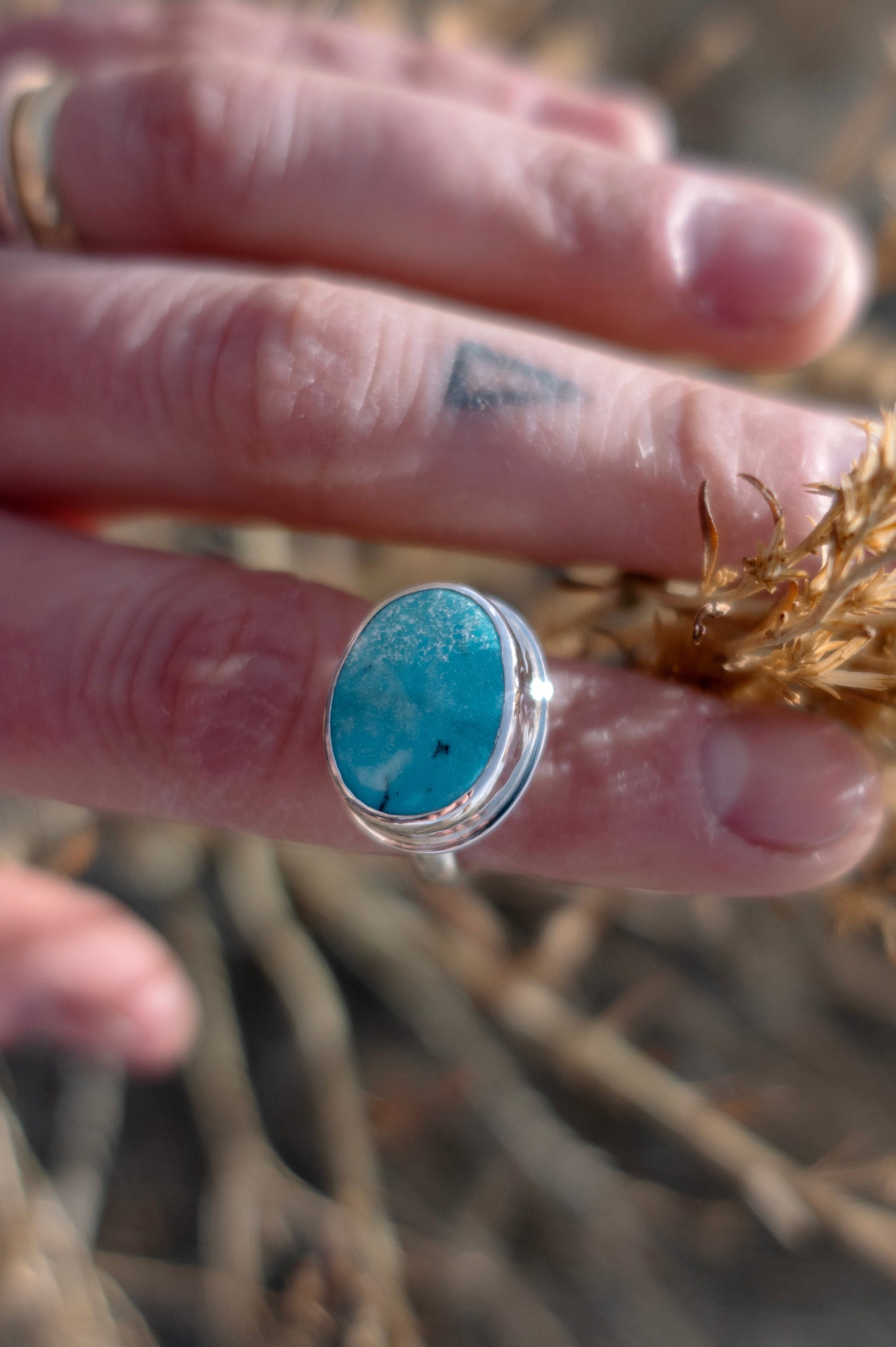 An oval-shaped turquoise ring with a finely polished shiny silver band, held between fingers with a dry plant background.