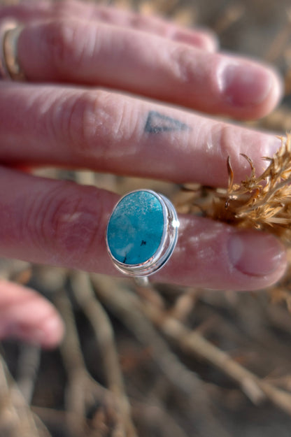 An oval-shaped turquoise ring with a finely polished shiny silver band, held between fingers with a dry plant background.