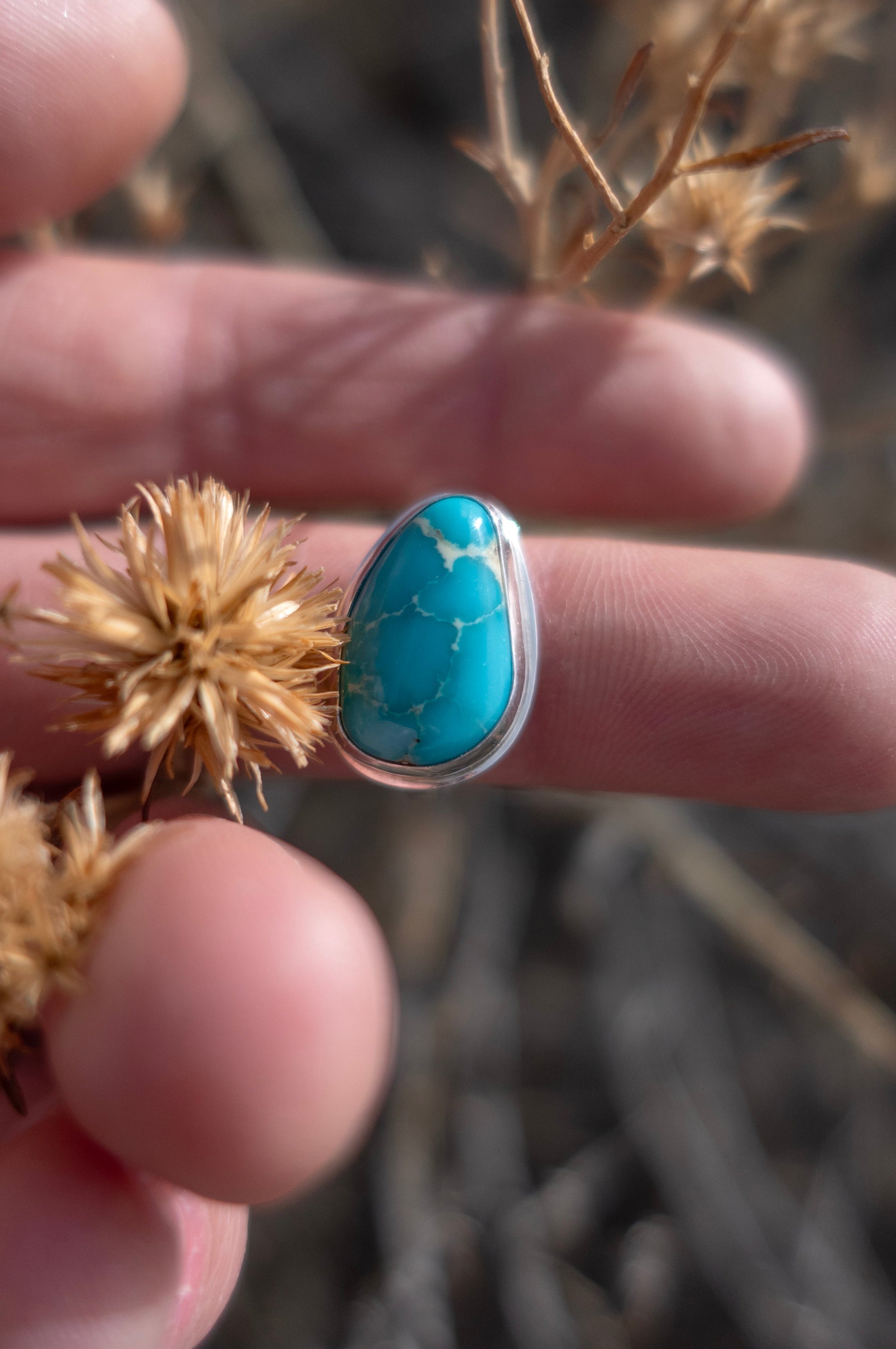 A glossy blue Kingman Turquoise stone set in a sterling silver ring, held between fingers with a dry plant in the background.