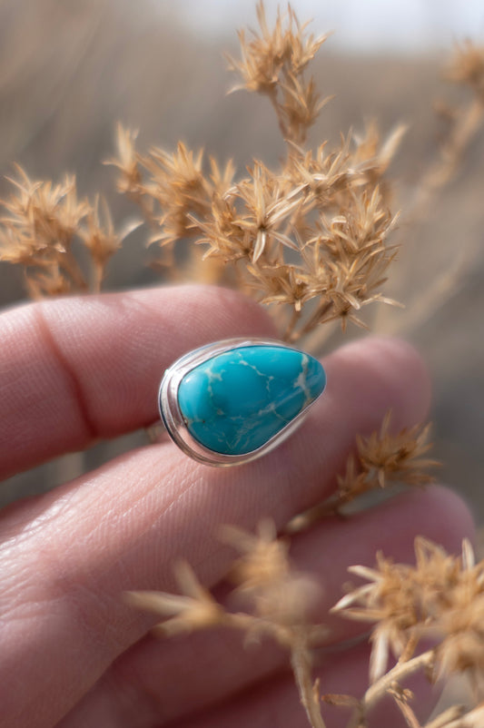 A glossy blue Kingman Turquoise stone set in a sterling silver ring, held between fingers against a backdrop of dried plants.