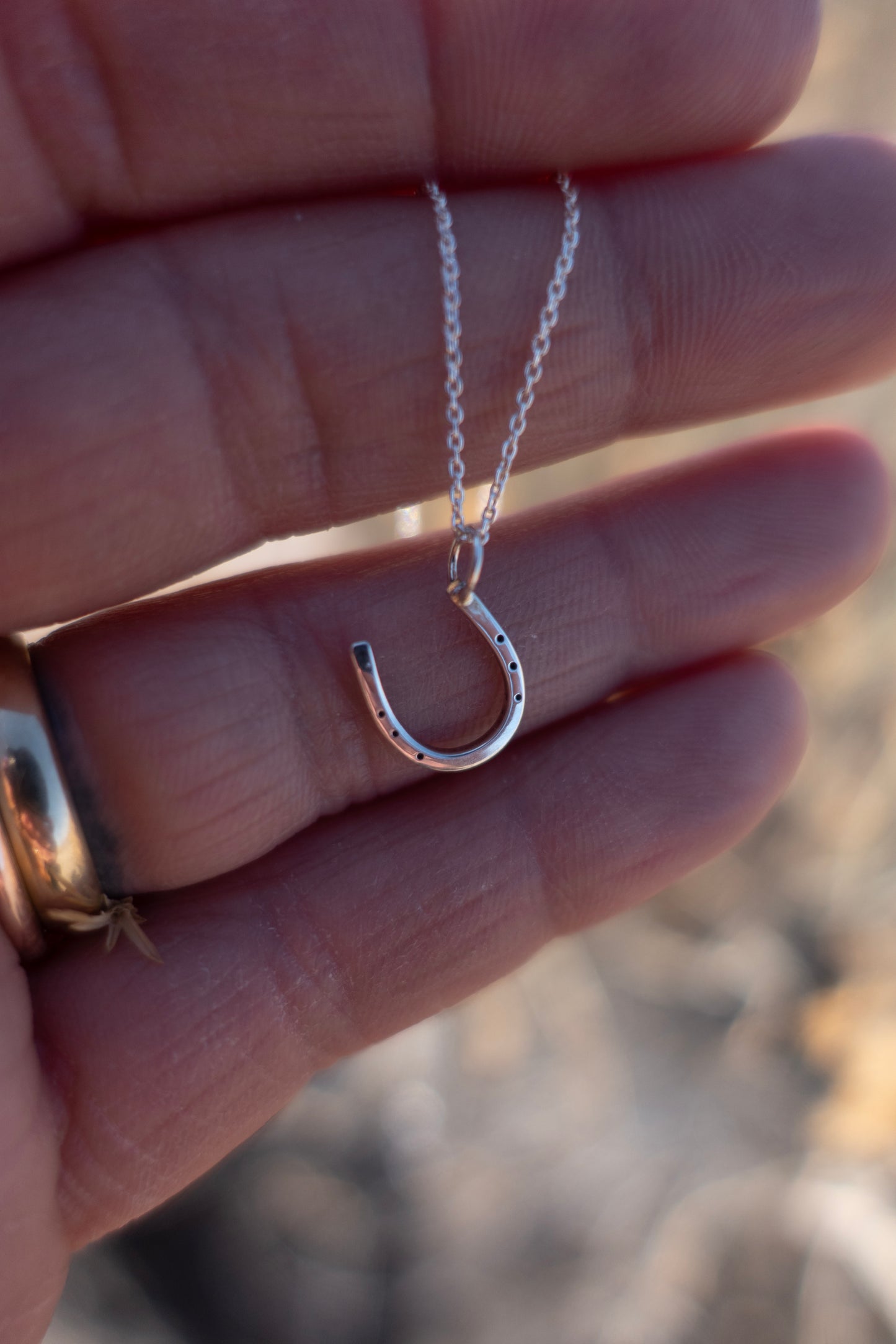Sterling Silver "Lucky Horseshoe" Charm Necklace