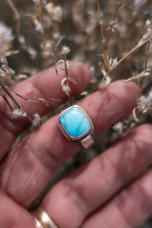 A sterling silver ring with a brilliant blue Sleeping Beauty turquoise stone shown on a hand surrounded by dried flowers