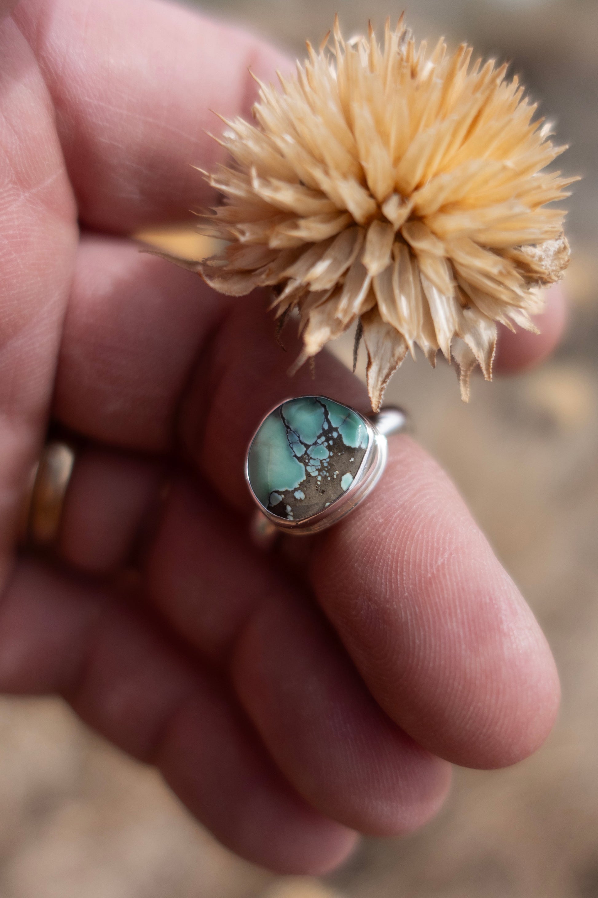 A handmade sterling silver ring with a Damele Turquoise cabochon held by a hand with a dried flower in the background