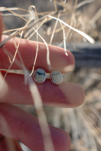 New Lander Variscite Oval Stud Earrings