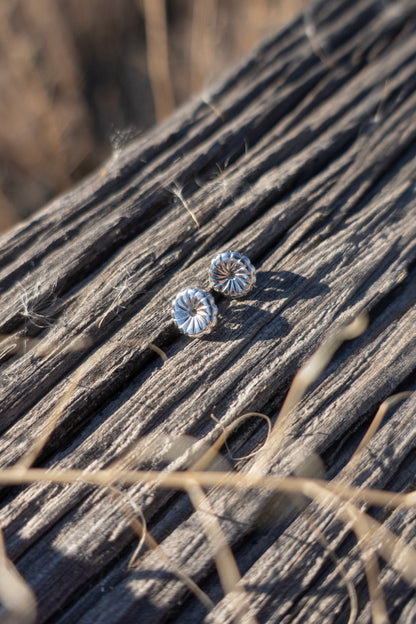 New Lander Variscite Oval Stud Earrings
