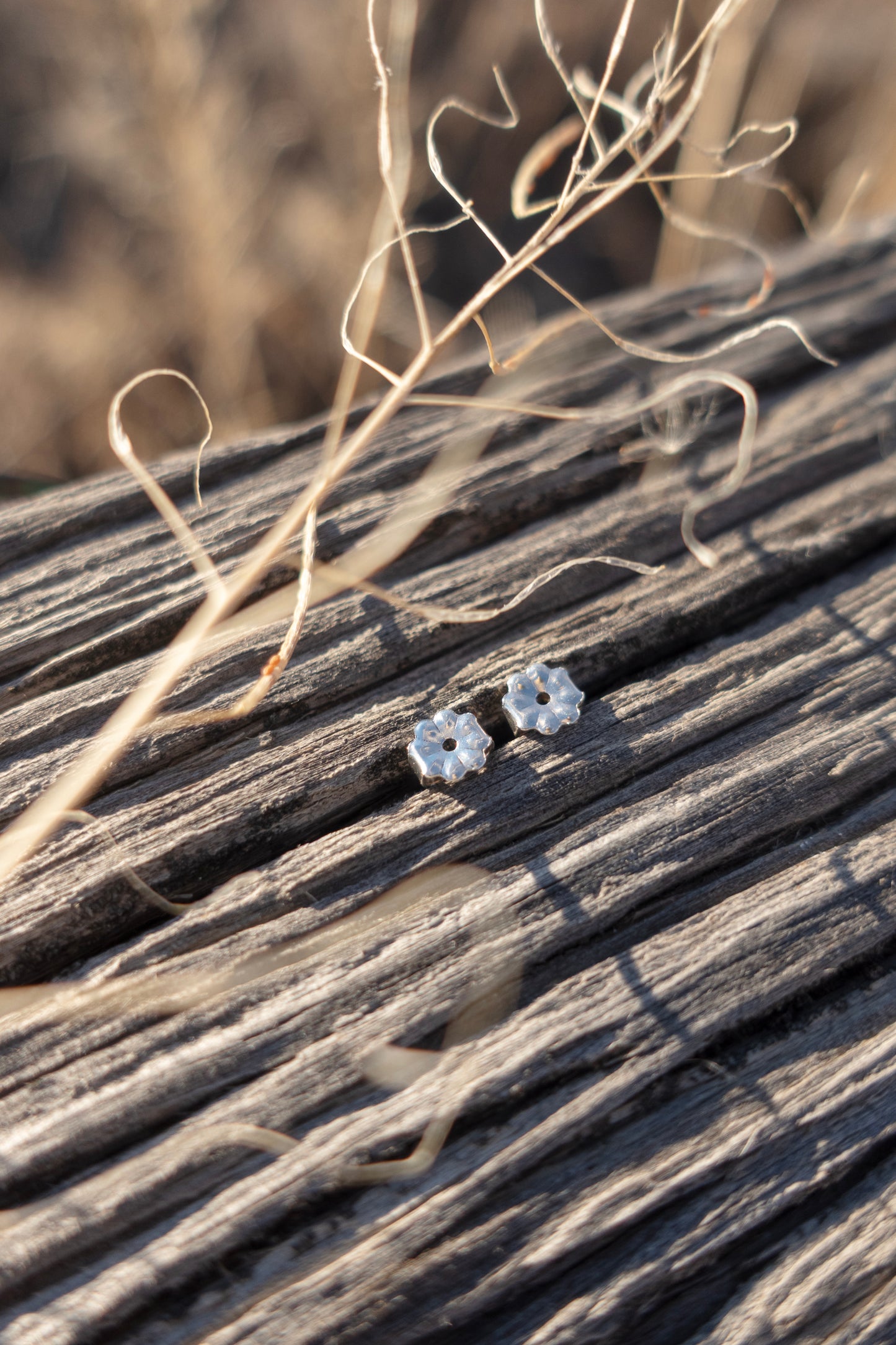Round Campitos Turquoise Stud Earrings