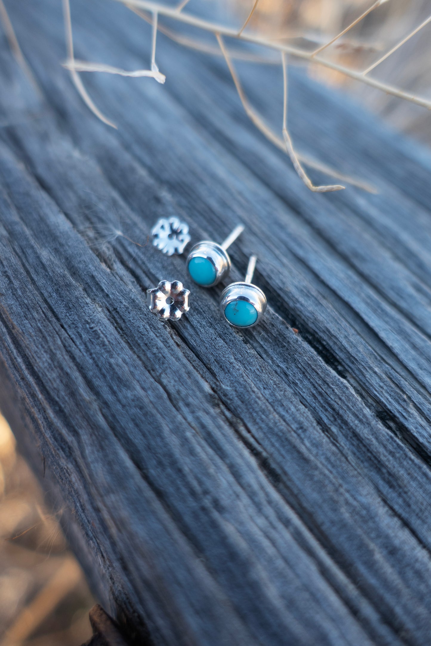 Round Campitos Turquoise Stud Earrings