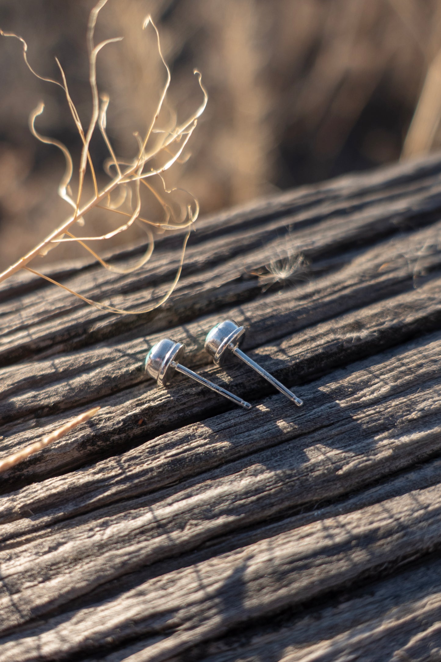 Round Campitos Turquoise Stud Earrings