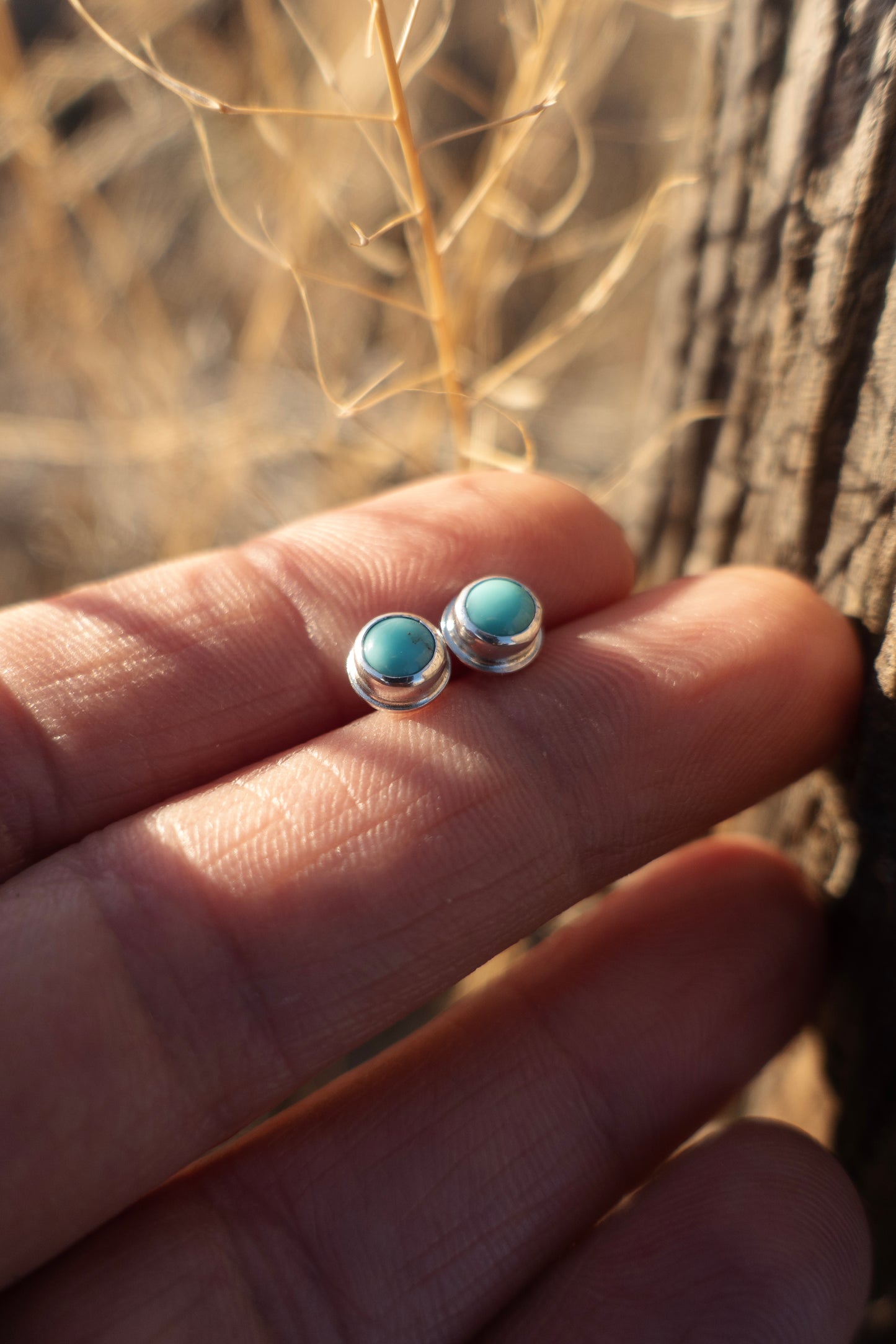Round Campitos Turquoise Stud Earrings