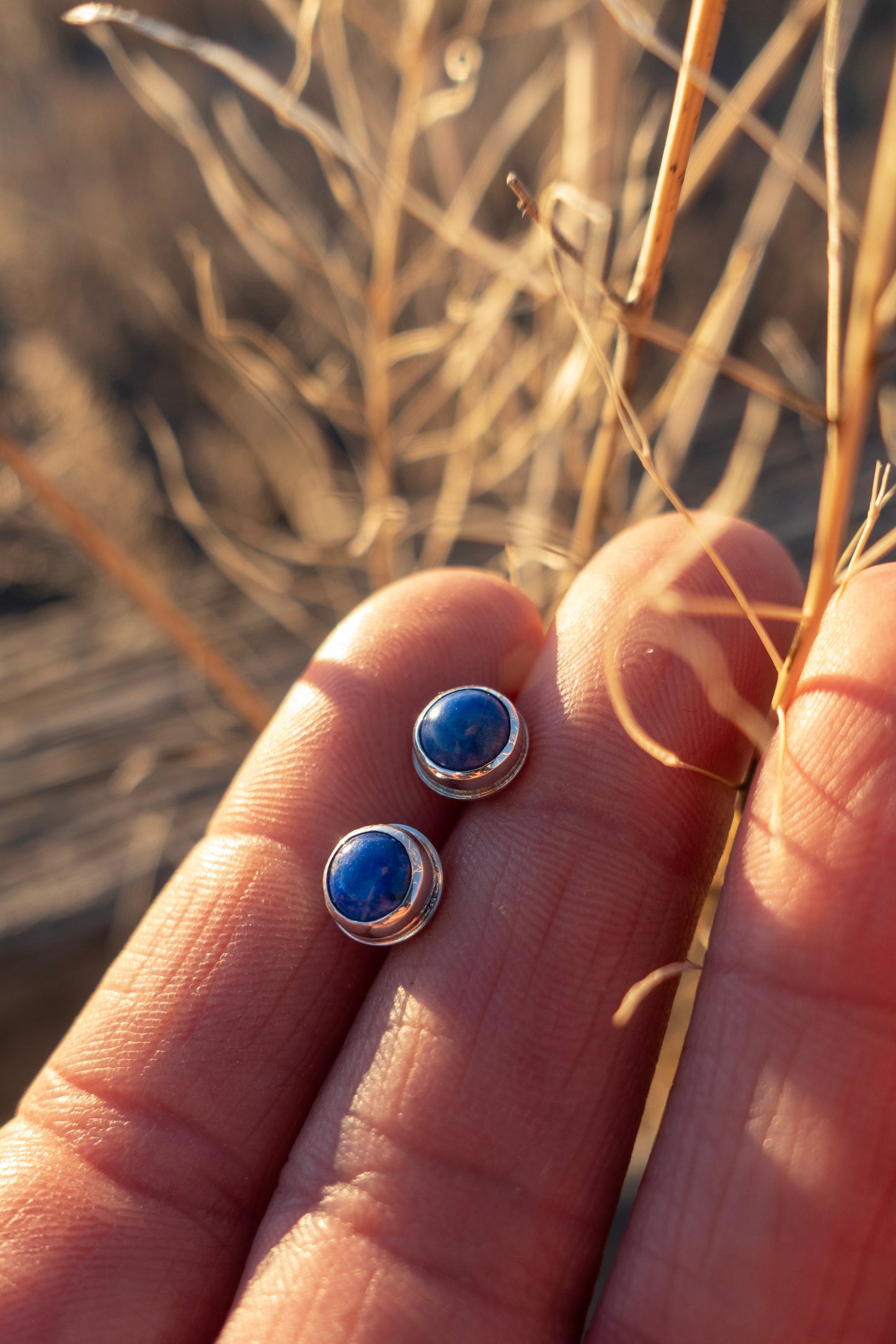 Lapis Lazuli Stud Earrings
