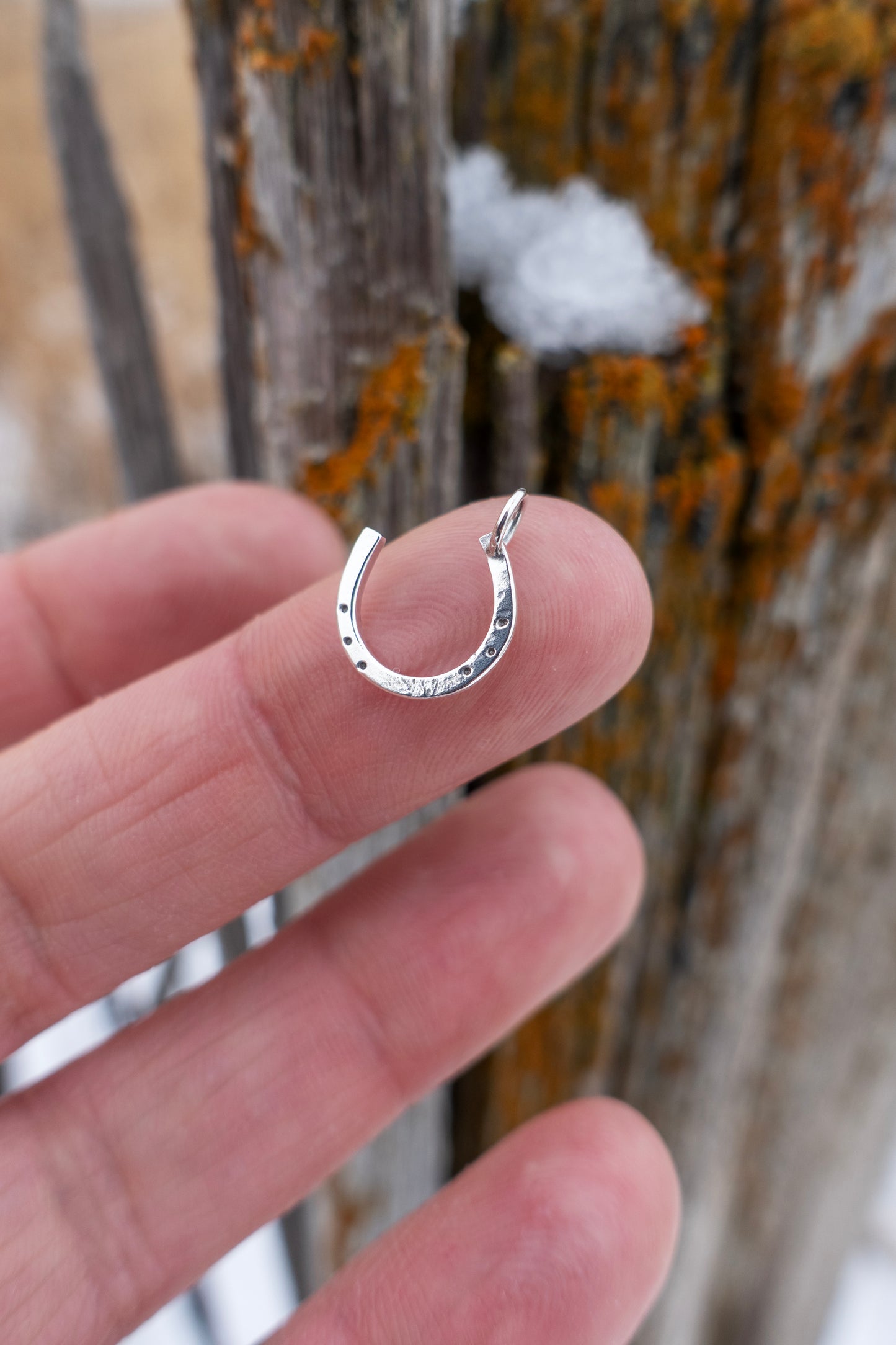 "Lucky Horseshoe" Charm Necklace