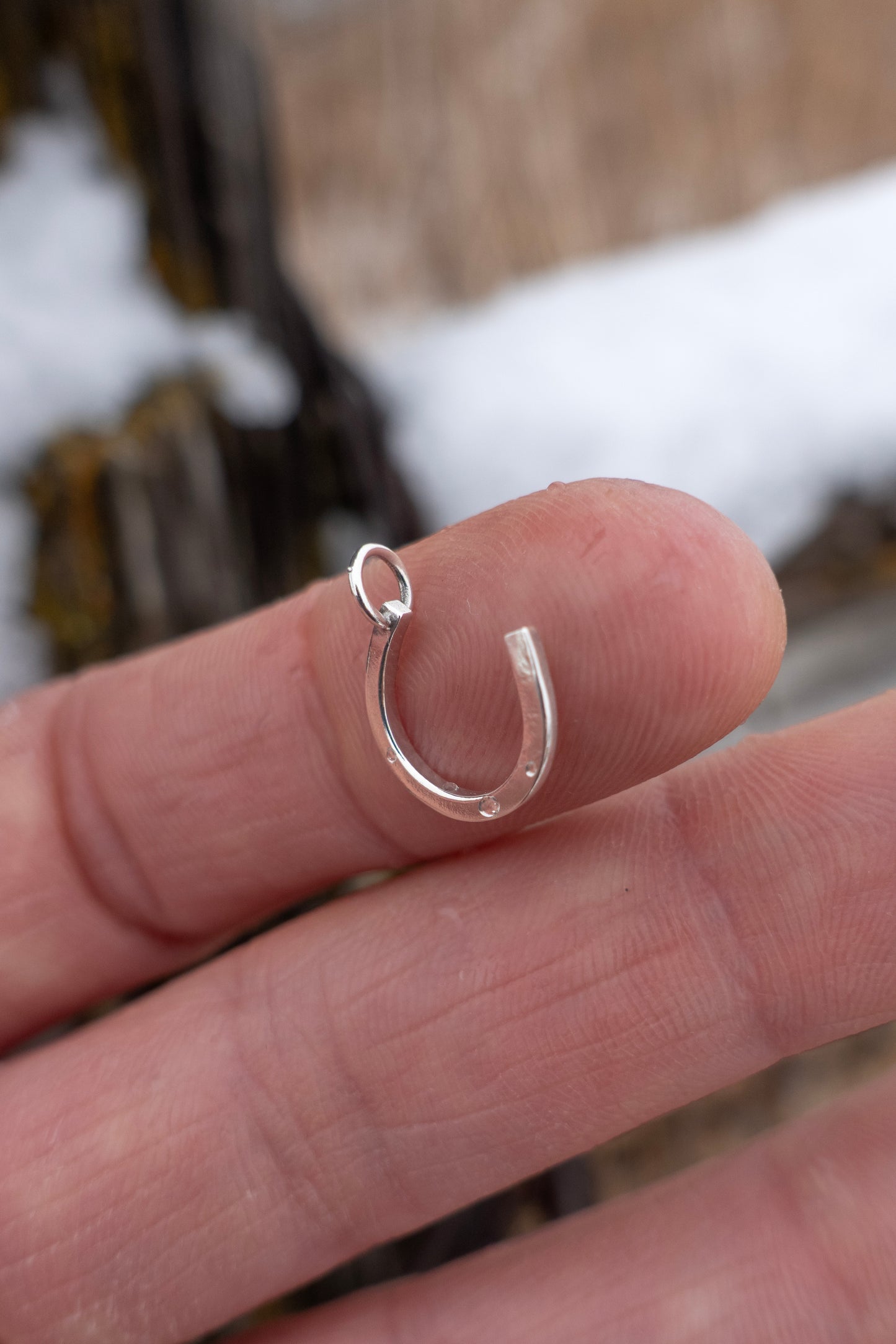 "Lucky Horseshoe" Charm Necklace