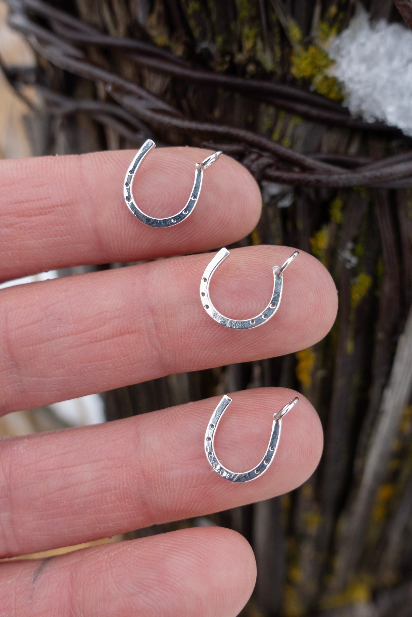 "Lucky Horseshoe" Charm Necklace
