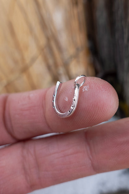 "Lucky Horseshoe" Charm Necklace