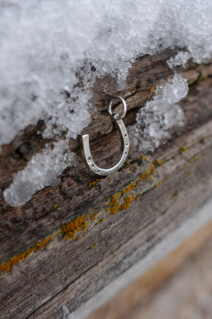 "Lucky Horseshoe" Charm Necklace