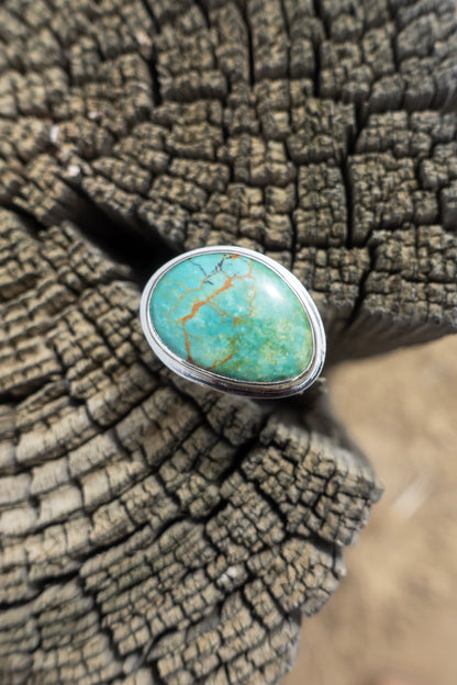 Freeform Turquoise Stout Ring Size 7