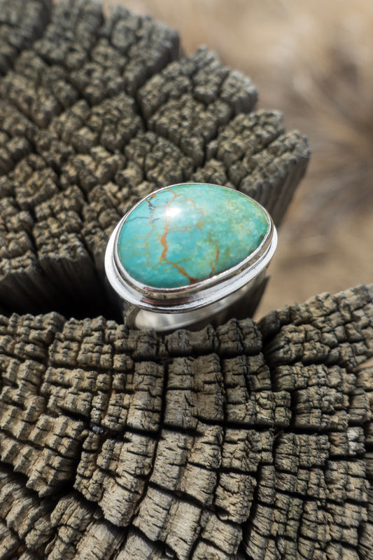 Freeform Turquoise Size 7 Ring