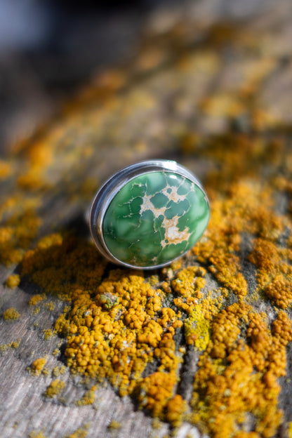 Spring Collector Statement Rings