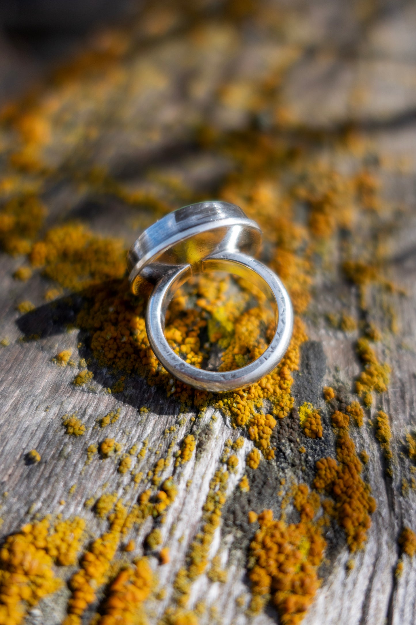 Spring Collector Statement Rings