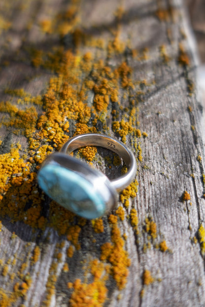 Spring Collector Statement Rings