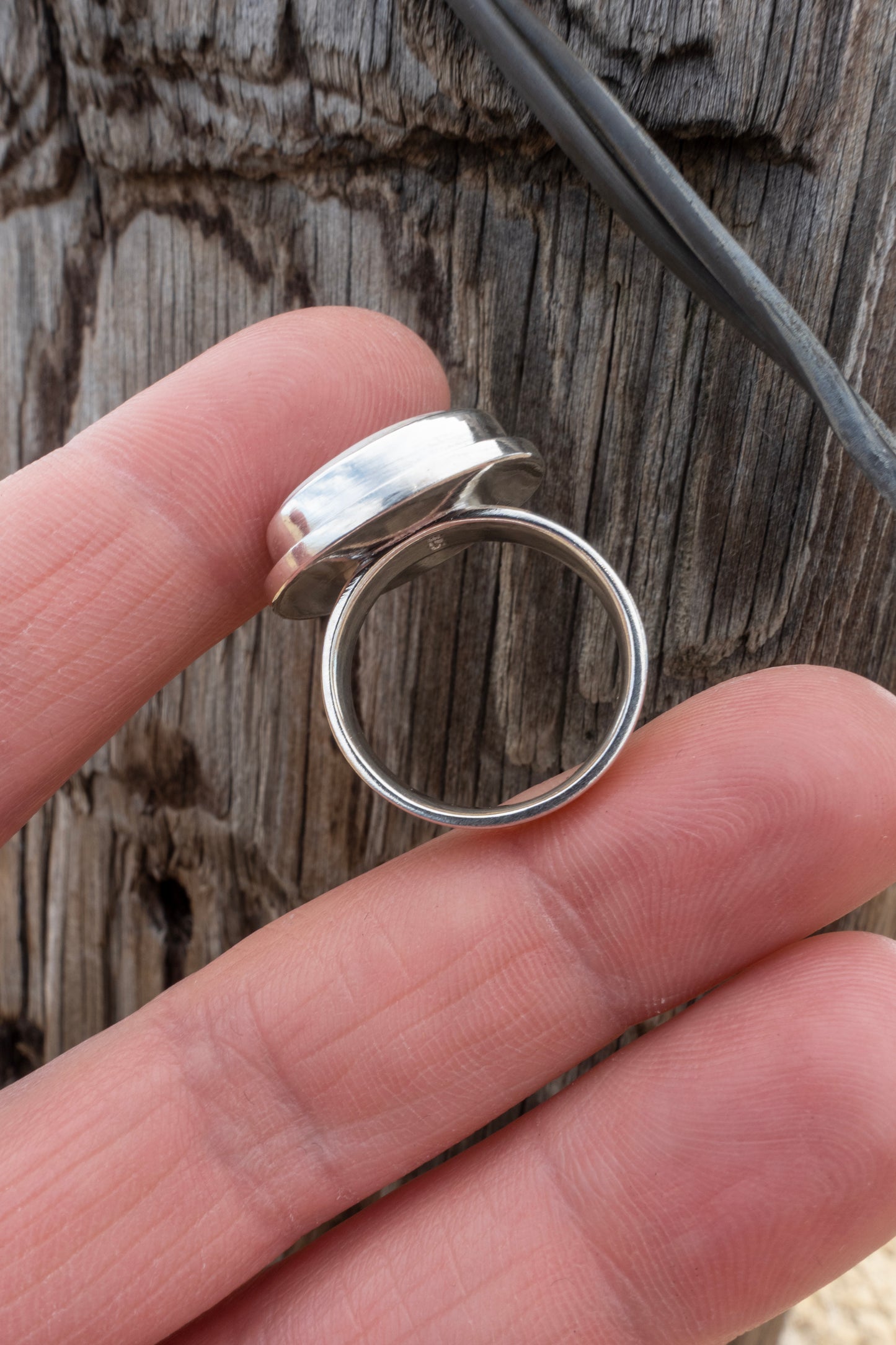 Wild Horse Ring Size 8