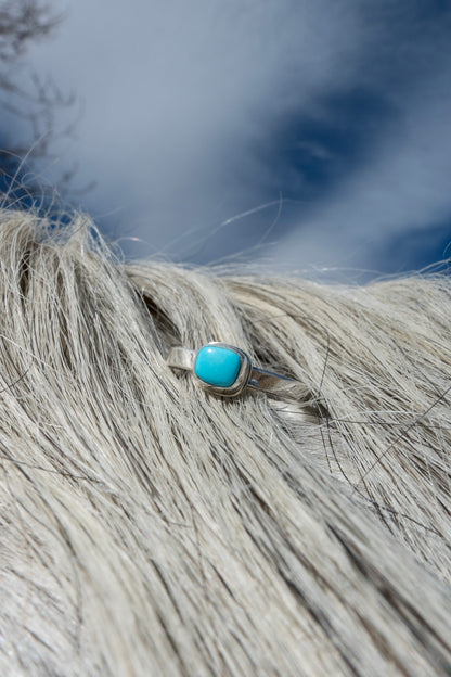 Sleeping Beauty Turquoise Rings