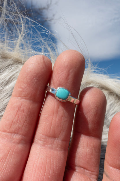 Sleeping Beauty Turquoise Rings